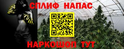 mdpv Кингисепп