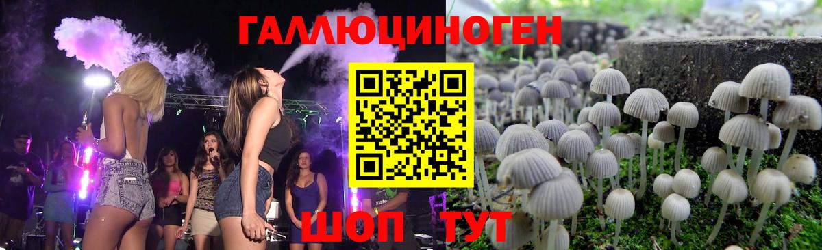 Галлюциногенные грибы Psilocybine cubensis  Вход с VPN  Ижевск 